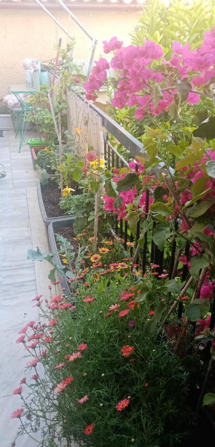Aegina'S Flowers House Dış mekan fotoğraf