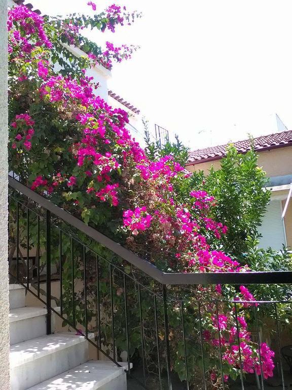 Aegina'S Flowers House Dış mekan fotoğraf