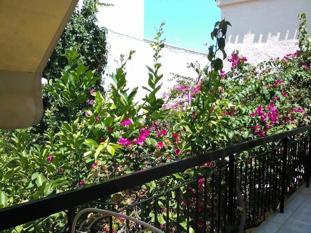 Aegina'S Flowers House Dış mekan fotoğraf