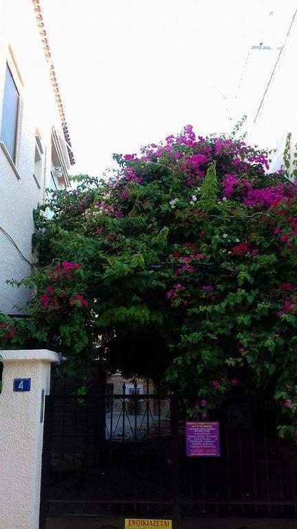 Aegina'S Flowers House Dış mekan fotoğraf