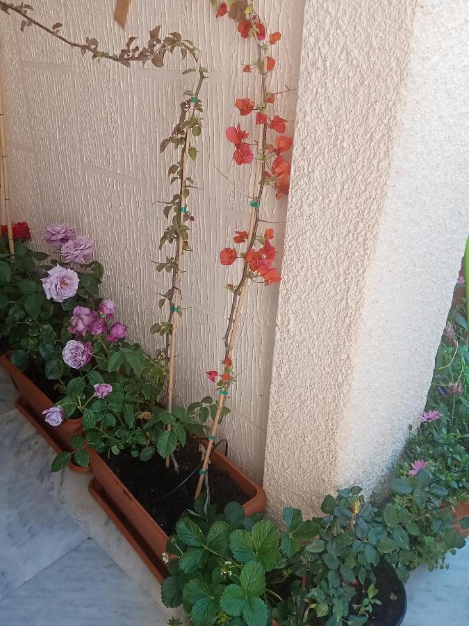 Aegina'S Flowers House Dış mekan fotoğraf