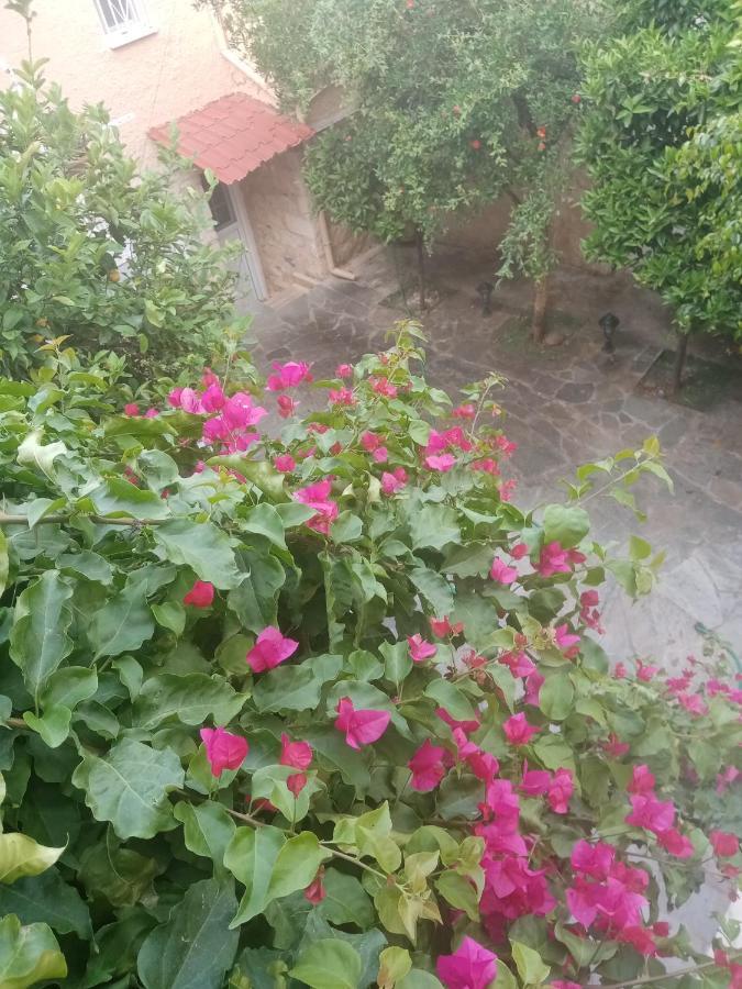 Aegina'S Flowers House Dış mekan fotoğraf